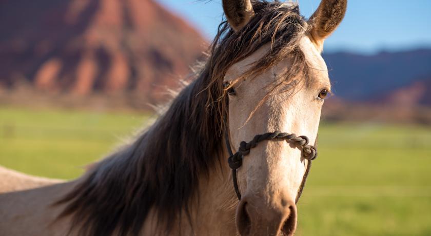 Sorrel River Ranch Resort & Spa Moab Kültér fotó