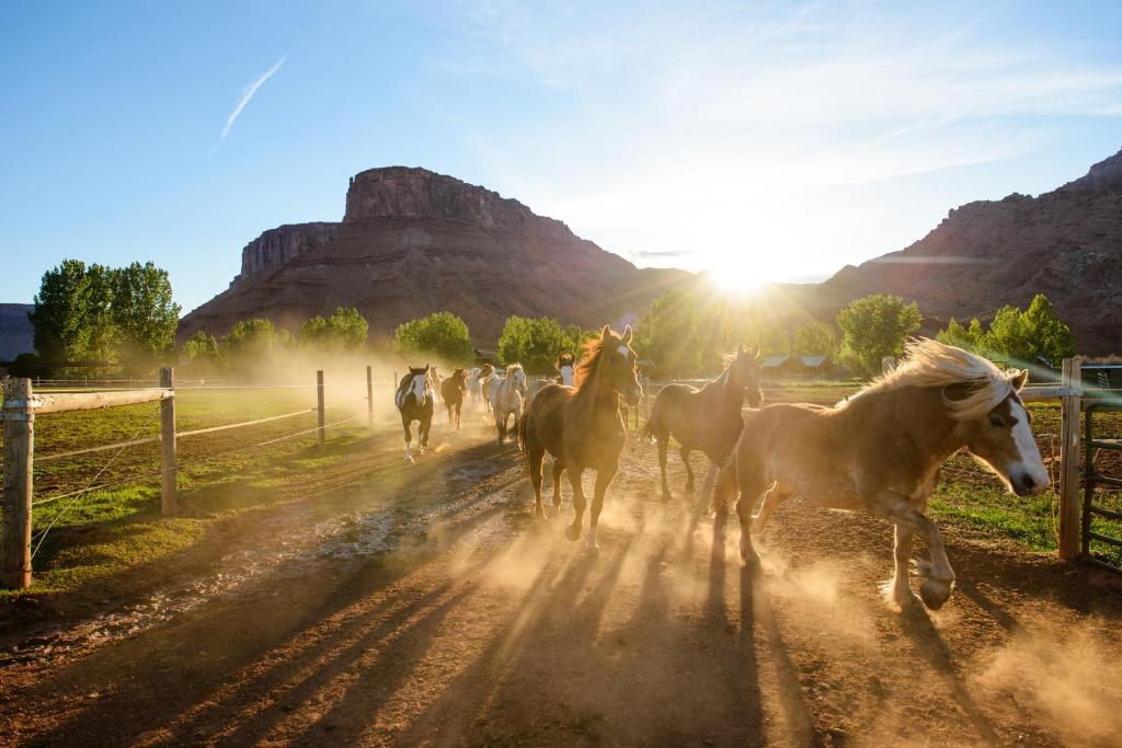 Sorrel River Ranch Resort & Spa Moab Kültér fotó